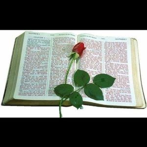 Meet your Posher, Guadalupe